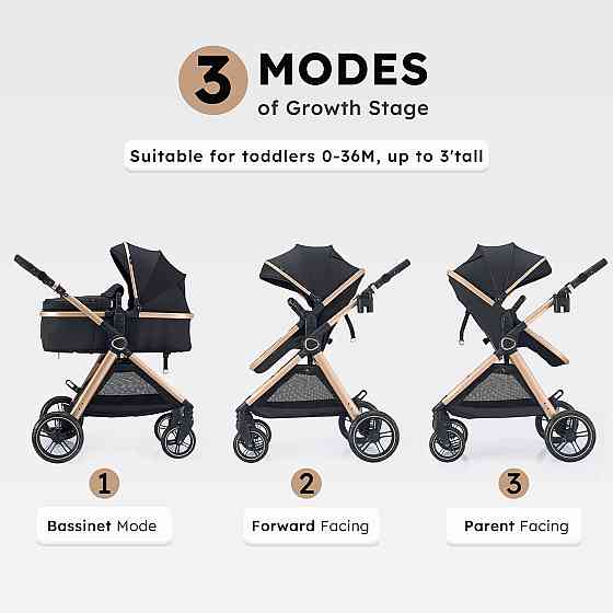 2 in 1 Baby Stroller, Convertible Bassinet Pushchair for Infants and Newborns 0-36 Months Richmond