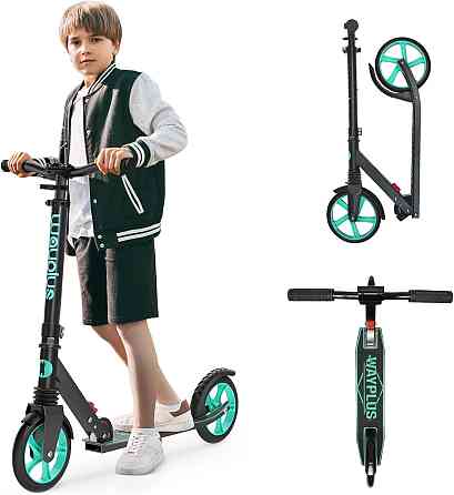 WAYPLUS KS1 Kick Scooter for Ages 6+,Kid, Teens & Adults. Max Load 240 LBS. Foldable, Lightweight, 8 Richmond