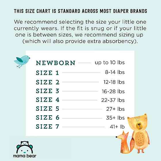 Amazon Brand - Mama Bear Gentle Touch Baby Diapers, Size 5, 27+ lb, Leak Protection, 12 Hours Protec Richmond